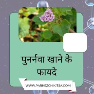 सिर्फ गुर्दे के रोग में ही नहीं, अन्य रोगों में भी पुनर्नवा खाने के है चमत्कारी फायदे – जानिए