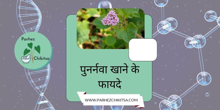 सिर्फ गुर्दे के रोग में ही नहीं, अन्य रोगों में भी पुनर्नवा खाने के है चमत्कारी फायदे – जानिए