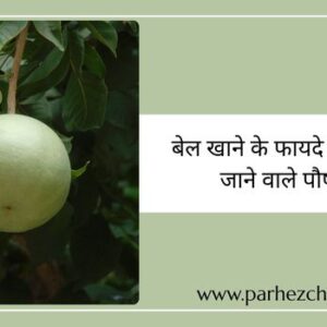 बेल खाने के फायदे एवं इसमें पाए जाने वाले पौषक तत्व
